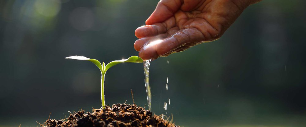 Los fondos de inversión