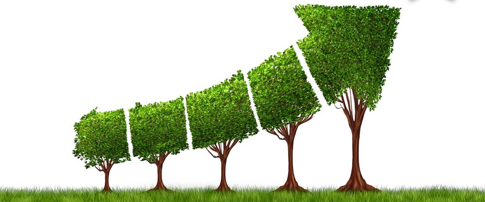 La economía ambiental