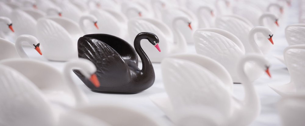 La Teoría del Cisne Negro